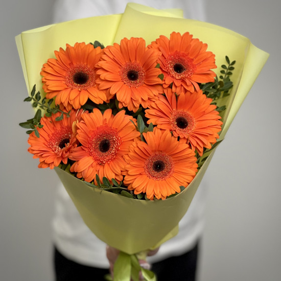 Герберы 4