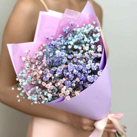 Гипсофила 0