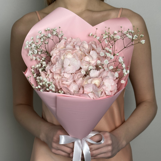 Гипсофила 1