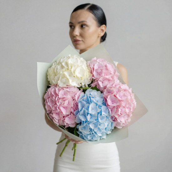 Гортензии 2