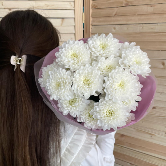 Хризантемы 2