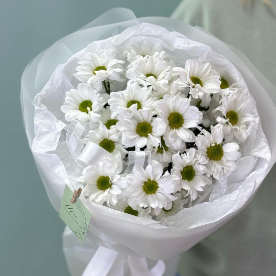 Хризантемы 4